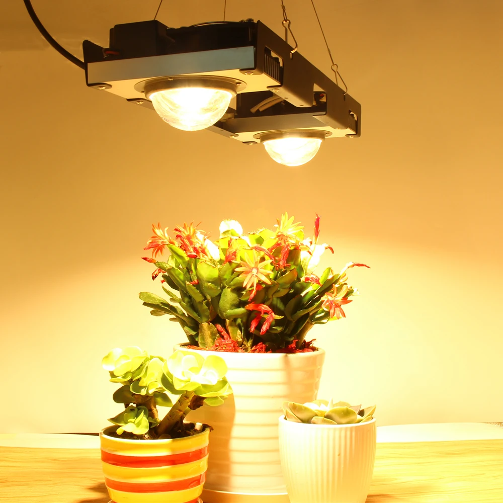 CREE CXB3590 COB светодиодный Grow Lights Full Spectrum 200W Citizen 1212 для сельскохозяйствнных ламп