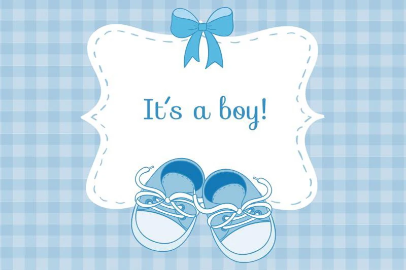 Laeacco Baby Shower Grid Pattern обувь с бантом для новорожденных фон фотосъемки
