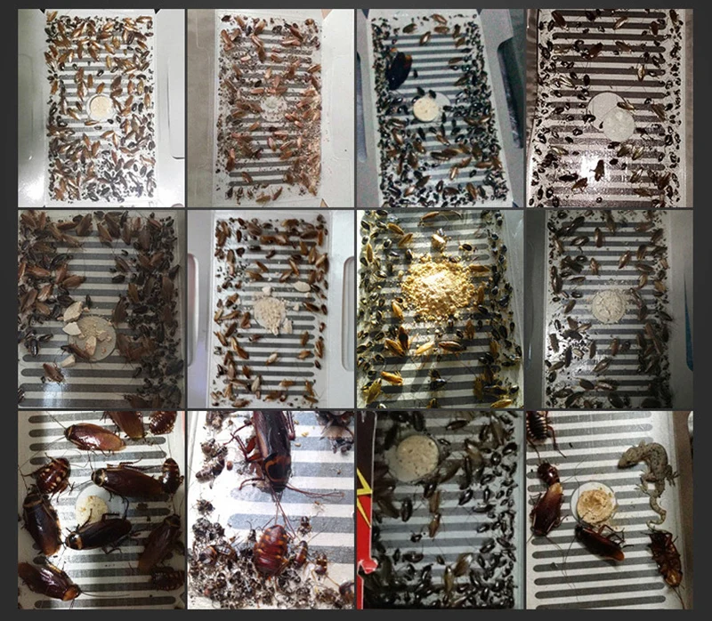ZOCDOU ловушка для тараканов, дом, убийца, жук, насекомое, сетка, приманка для ловли, клей, для дома, для борьбы с вредителями, черный жук, черный жук, номер, Прямая поставка