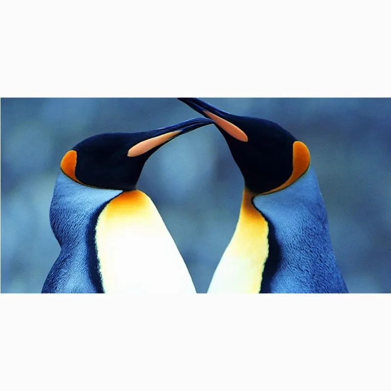 Penguins Print Microfiber Beach Towel Fast Drying Sport Gym Bath Towels Custom Yoga Mat Kids Throw Blanket 70 X 140CM | Дом и сад