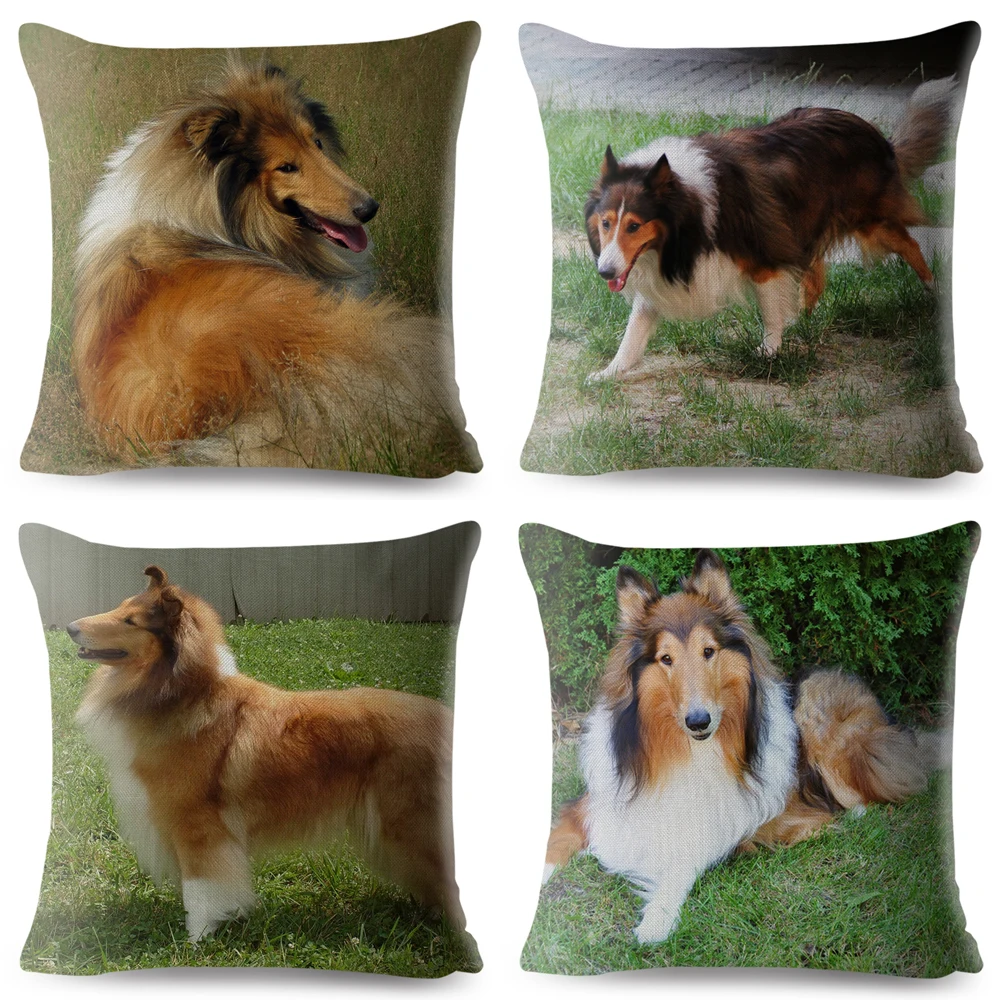 Фото Милый чехол для подушки SheltiePet Border Collie, 45*45 см №2