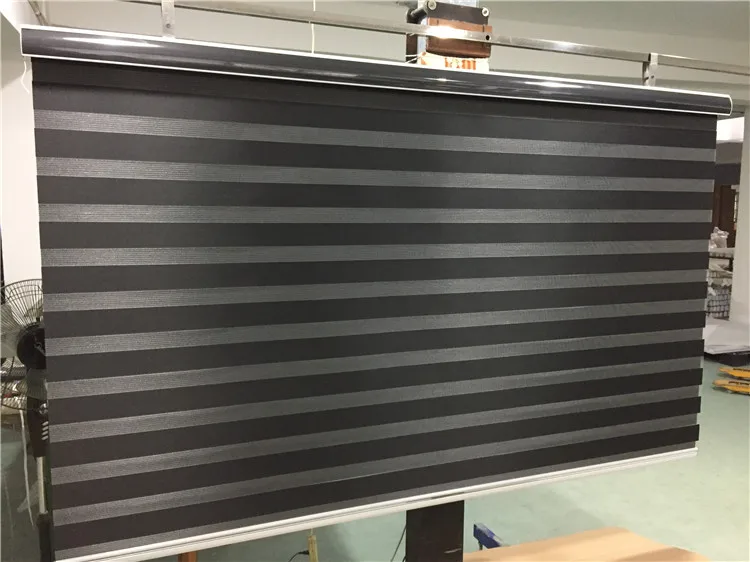 Бесплатная доставка Популярные Зебра жалюзи двойной слой рулонные для окна