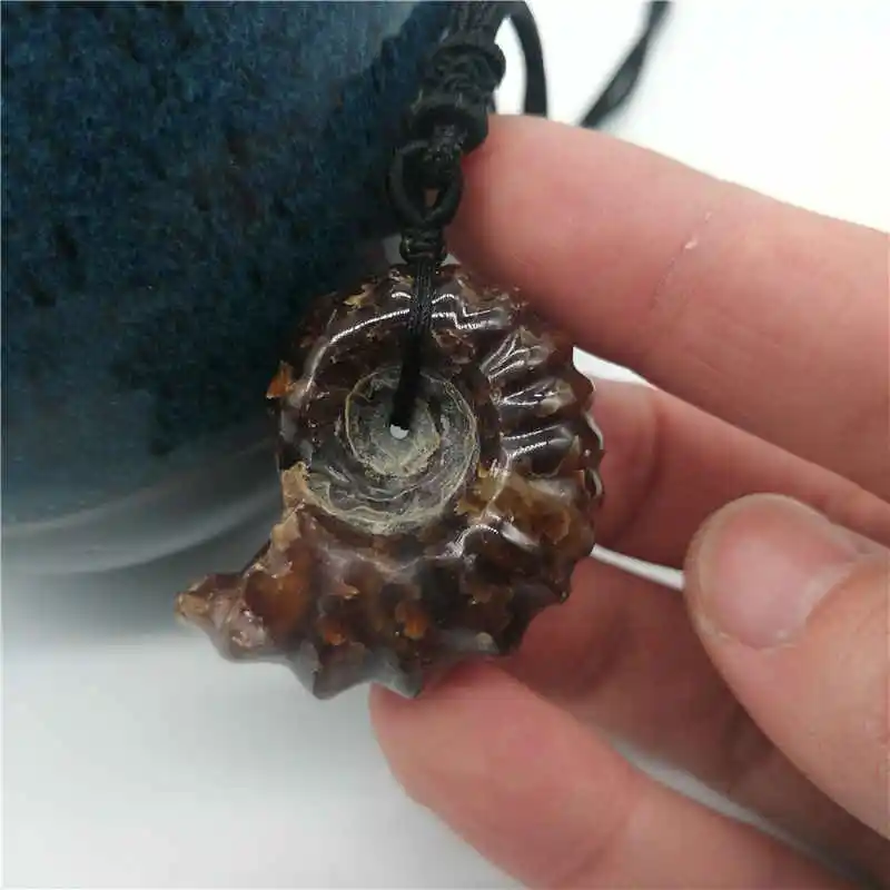 Natural Ammonite Snail Marine Paleontological Fossil Conch Nautiloidea Mineral Specimen Stones pendant | Украшения и аксессуары