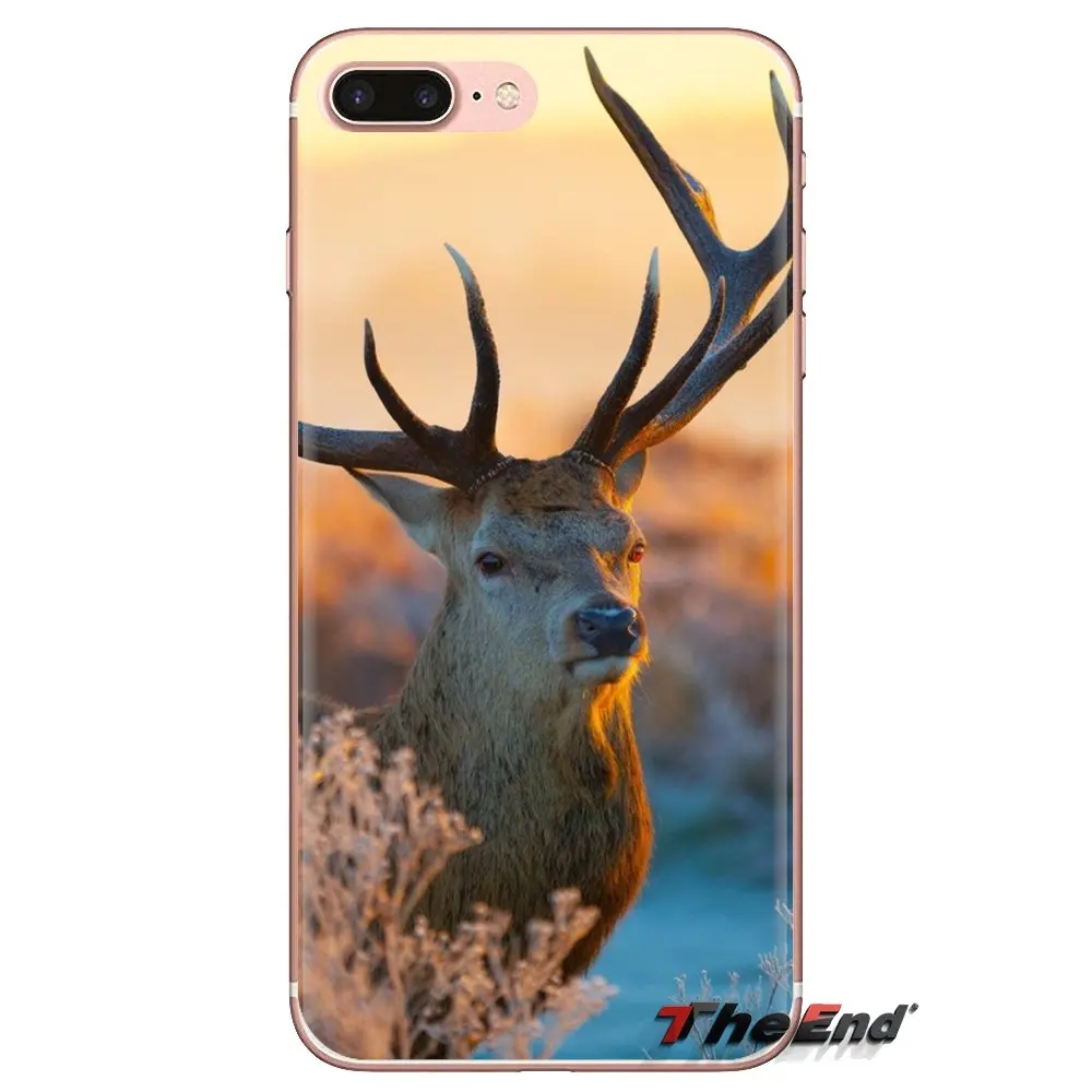 Silicone Phone Cover Bag For Samsung Galaxy J1 J2 J3 J4 J5 J6 J7 J8 Plus 2018 Prime 2015 2016 2017 Deer Pictures Backgrounds |