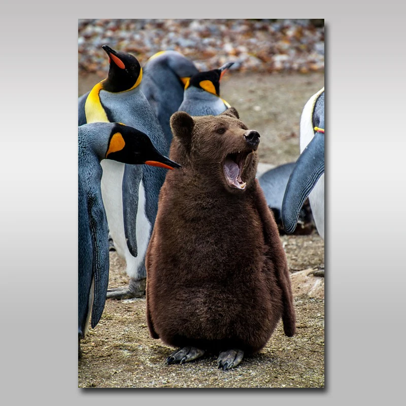 5D Diy Алмазная картина император Пингвин Детская фотография полный квадратный