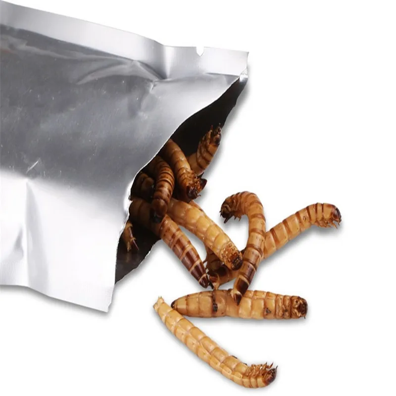 Сушеный аквариум Mealworm пруд рептилии дикая птица еда хомяк семена птиц ящерица