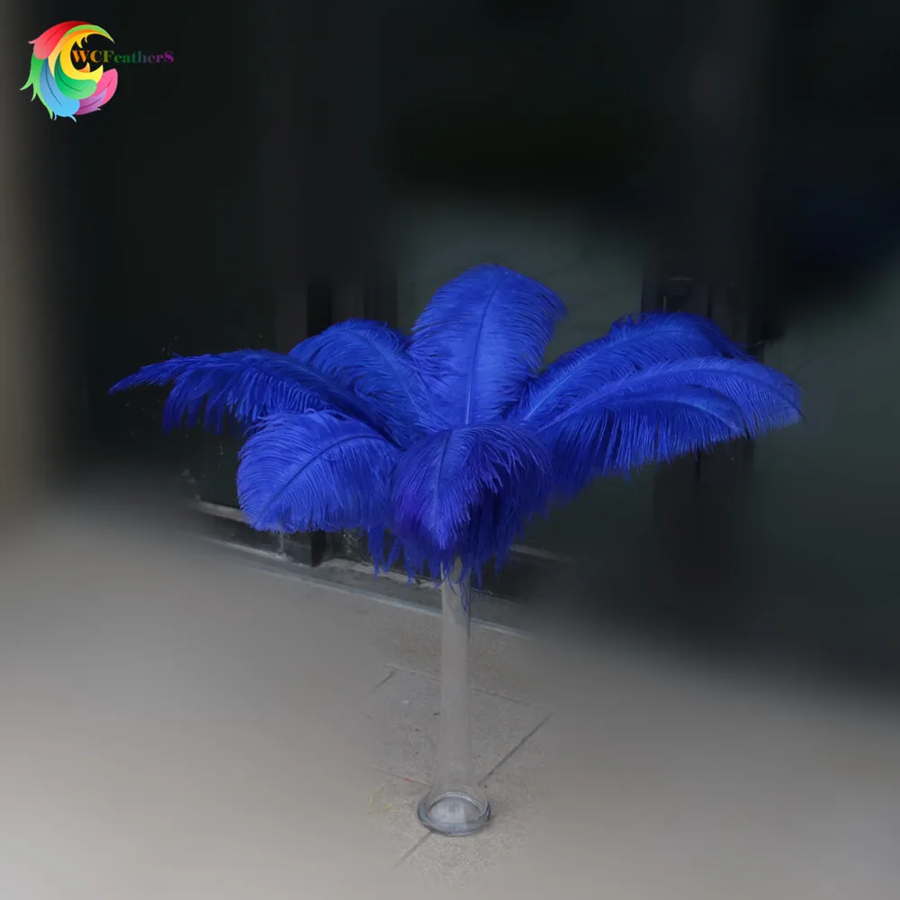 royal blue 10 шт./лот, высокое качество, цветные страусиные перья, 60-65 см/24-26 дюймов, свадебные, вечерние, карнавальные украшения - Цвет: royal blue