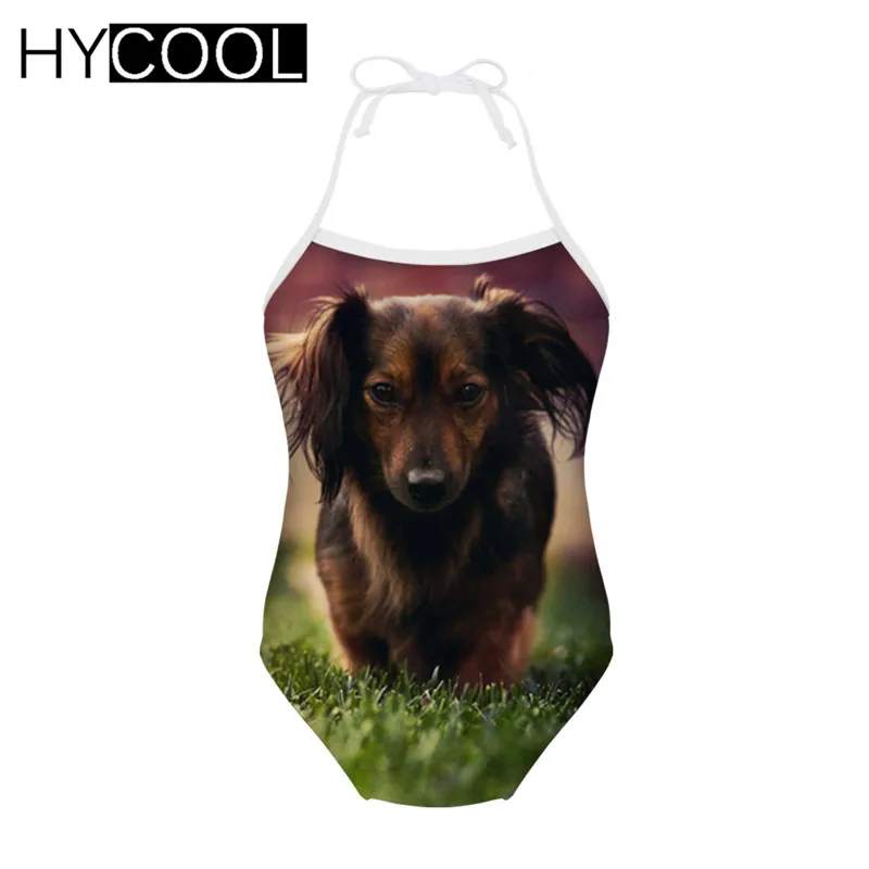R2109BS HYCOOL/детская одежда для купания; купальный костюм с принтом французского бульдога; Купальник для девочек; боди; цельные купальные костюмы; детское бикини - Цвет: R2109BS