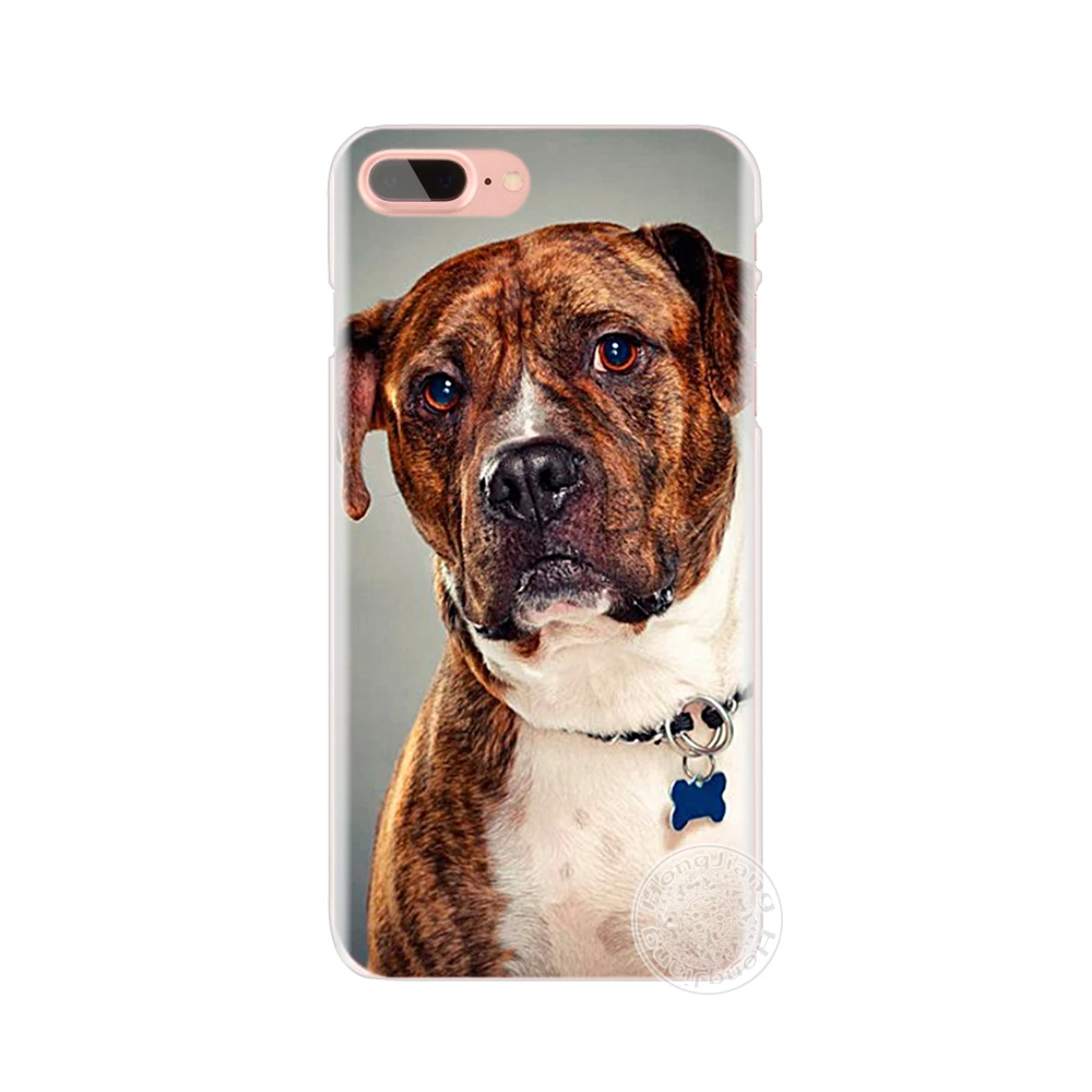 HAMEINUO pitbull dog Чехол для мобильного телефона iphone 6 4 4s 5 5s SE 5c 6s 7 8 plus чехол X|case for iphone|case