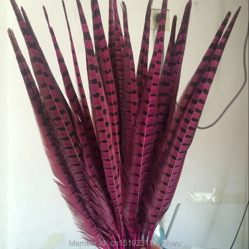 

Wholesale 200 pcs beautiful Rose Pheasant Feather 16-18 inches 40-45 cm free shipping