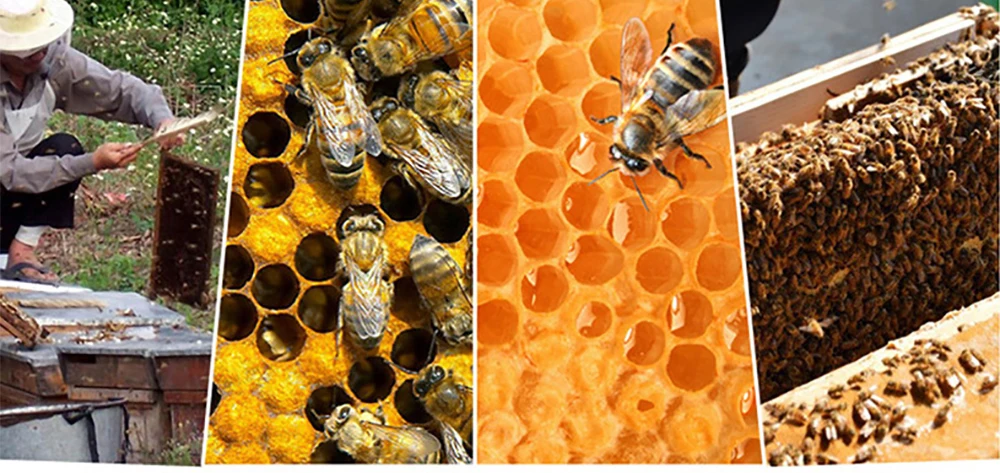 1 шт. Перманентный маркер queen bee ручка king bees маркеры rearing ручки маркировка идентификация не выцветает инструменты поставщик оборудование