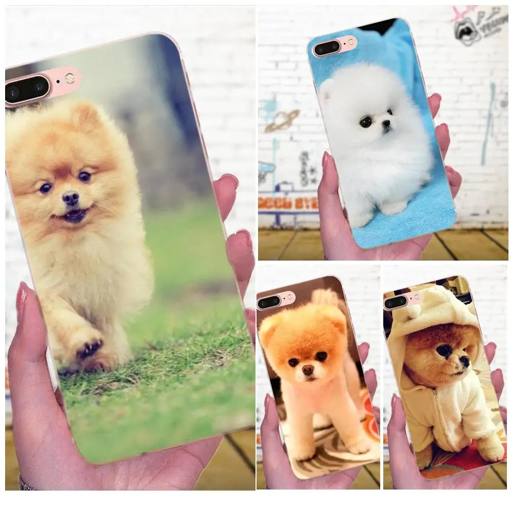 Pomeranian Dog Dogs For Galaxy J1 J2 J3 J330 J4 J5 J6 J7 J730 J8 2015 2016 2017 2018 mini Pro Top Detailed Phone Case | Мобильные