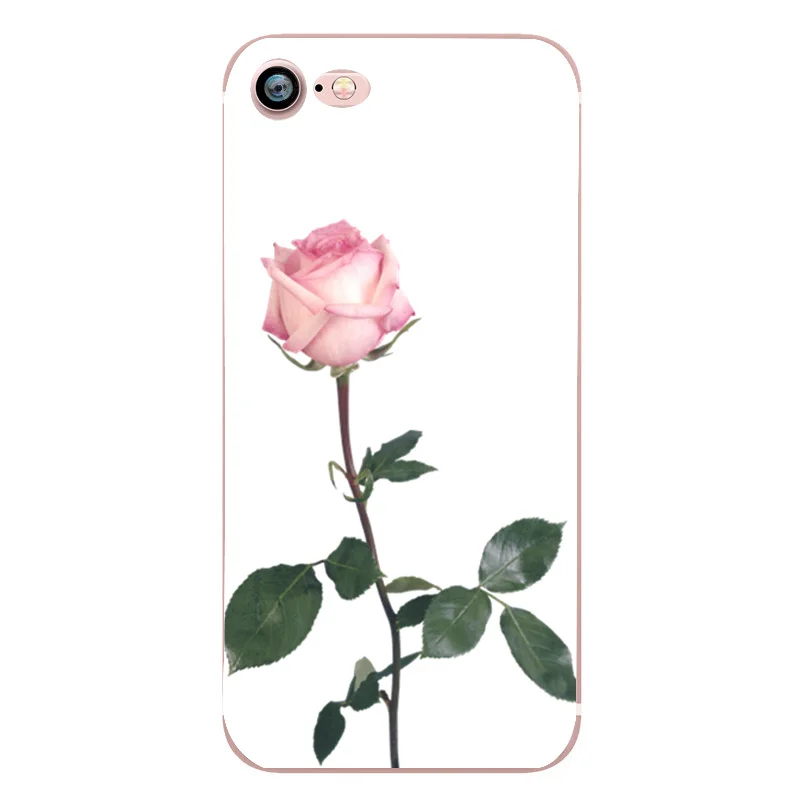 Чехол для iphone Fundas 6 S Красивые цветы Кактус задняя крышка Защитный Coque 7 8 Plus X SE 5 5S