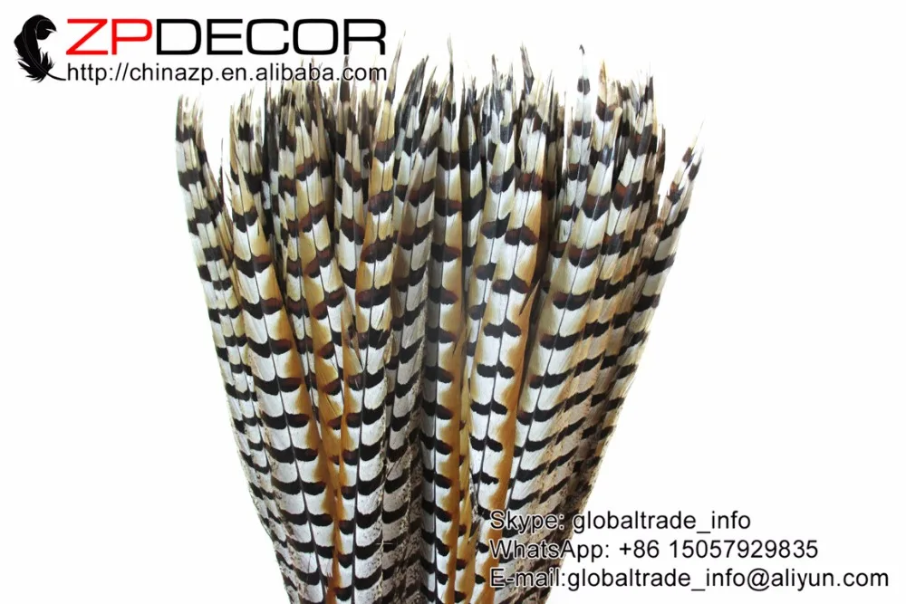 Zpdecoration 50 шт./лот 60-70 см (24-28 дюймов) Высокое качество натуральные перья из хвоста