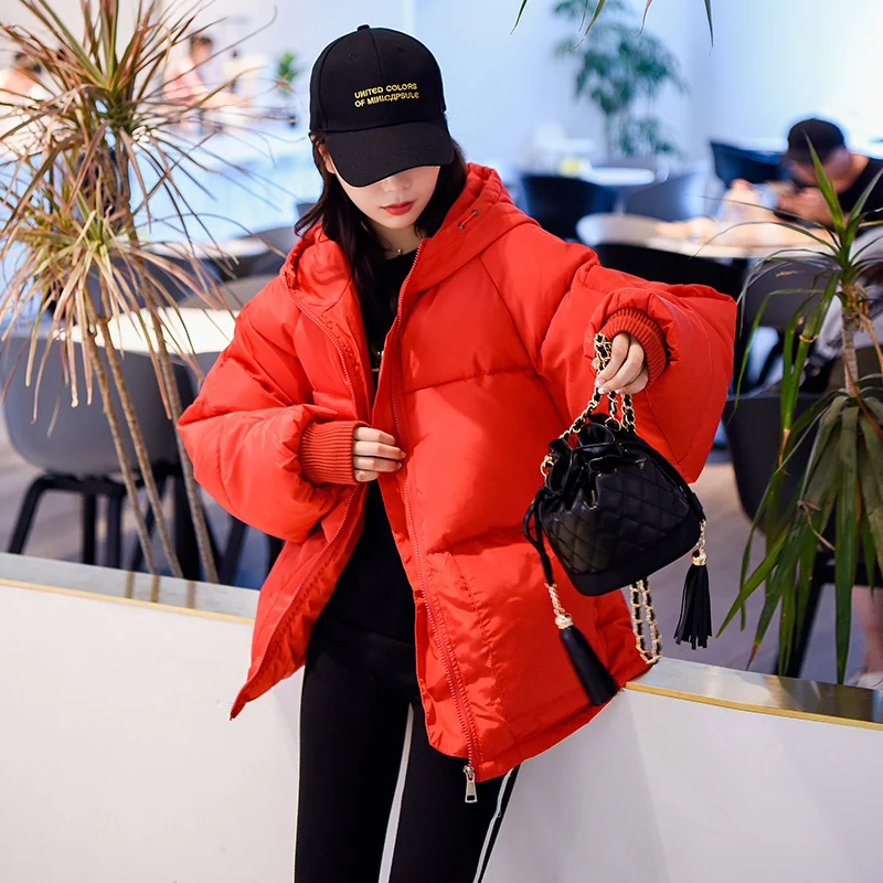 Зимние Для женщин вышивка парки Oversize верхняя одежда вниз пальто хлопка женский