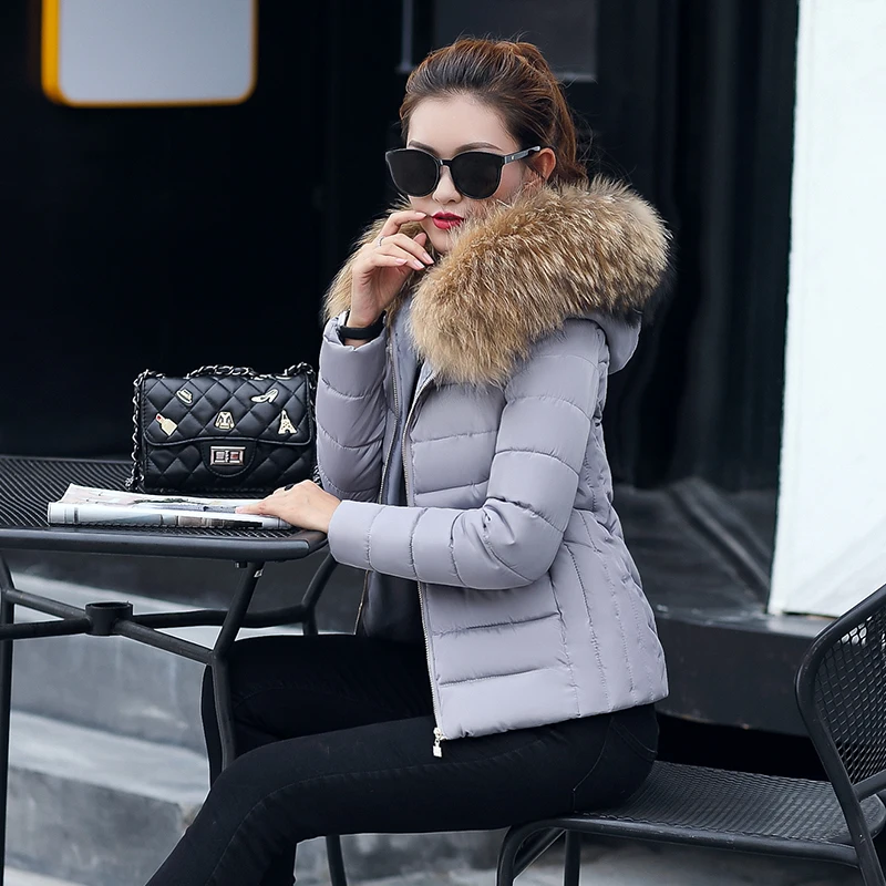 Six Senses 2017 Winter Women Coat Hooded Long Sleeve Jacket Big Fur Collar Short Slim Thick Fashion Warm Parkas HLM0009 | Женская одежда