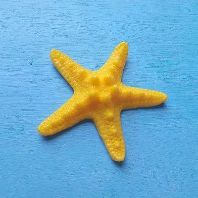 1 шт./лот, изделия из смолы, на палец, морская звезда, драпировка, "-4", отличные Свадебные или вечерние украшения для дома, Морская звезда, морская раковина