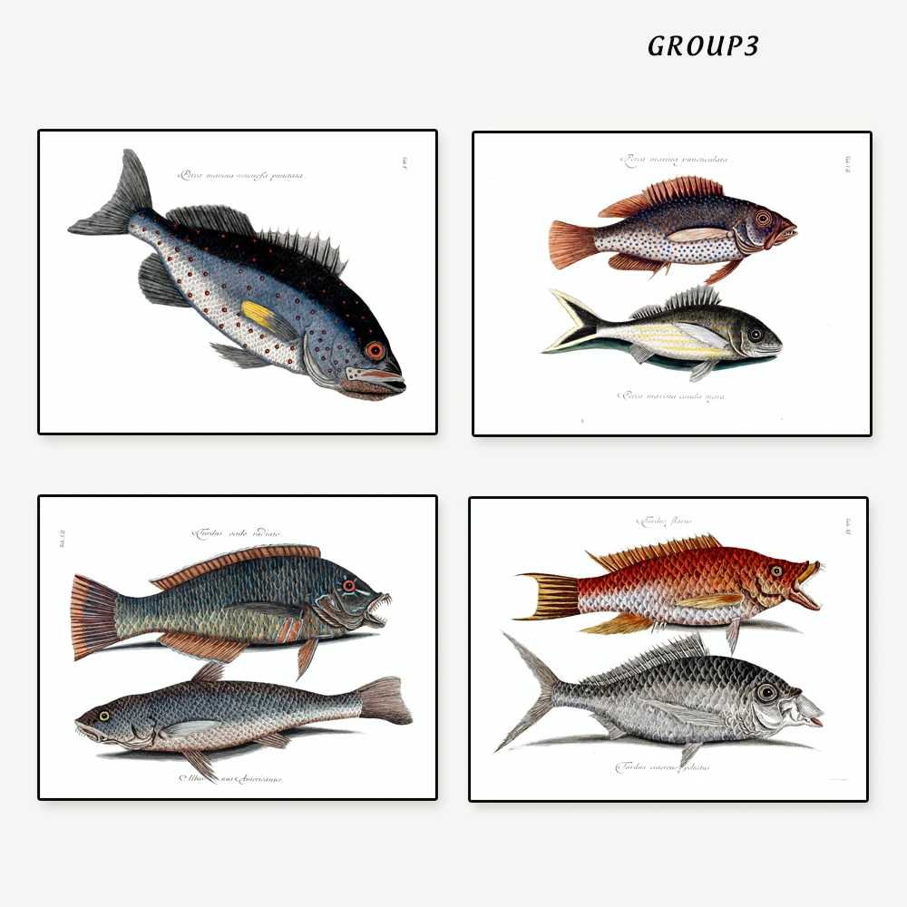Рыбацкие принты Винтаж/Античный цвет рисунок рыбы без рамы набор из 4 Рыбалка