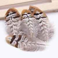 30pcslot pheasant feather turkey feather diy jewelry earring costumes hat wedding decorative feather materials 6 5 9cm m 20