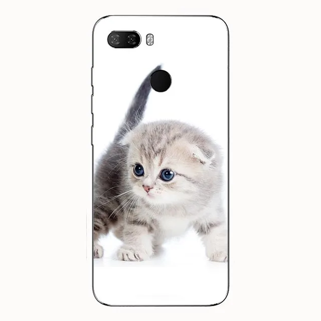 L143 Чехол с узором для lenovo A5 Z5 S5 Pro K5 Play, мягкий ТПУ чехол для lenovo K5 Play K5 Pro K5 K350t A5, чехол для задней панели телефона - Цвет: L143