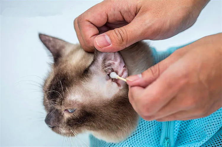 Многофункциональный пэт сумка для груминга кошек ногтей мешки ванной Аксессуары