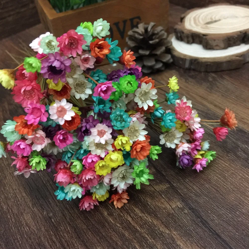 

240pcs/lot 0.8-1cm mixed color cute Mini Brazil Little star dried flower fit glass vials glass bottle glass vial glass bubble