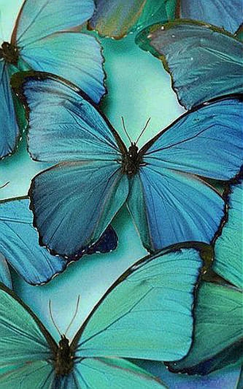 

Алмазная 5D картина «Голубая бабочка», полноразмерная и круглая вышивка крестиком, мозаика для домашнего декора, подарок