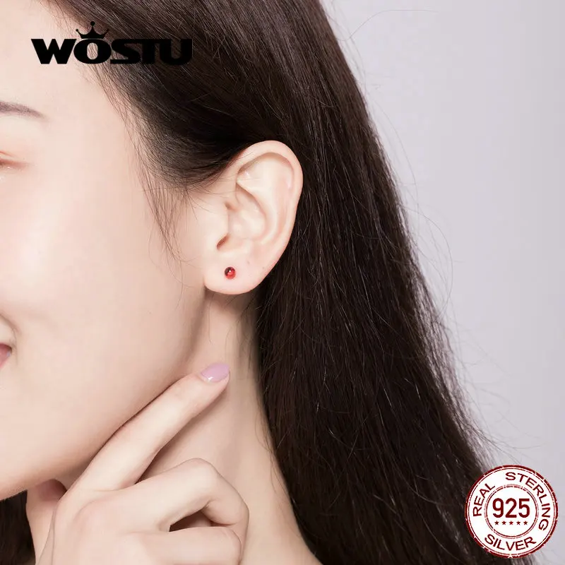 WOSTU, роскошный стиль, красный гранат, серьги-гвоздики, 925 пробы, серебряные, маленькие серьги для женщин, модные, свадебные, вечерние, ювелирные изделия, CQE657