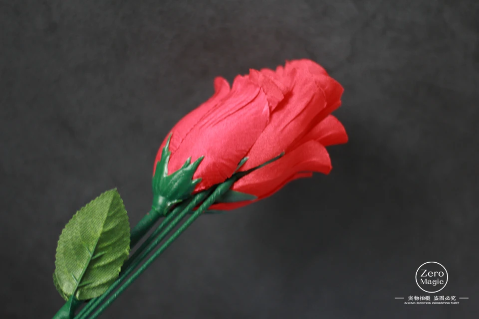 Y Rose от г на и Бонда ли одна роза меняется четыре розы Огненная Магия иллюзии