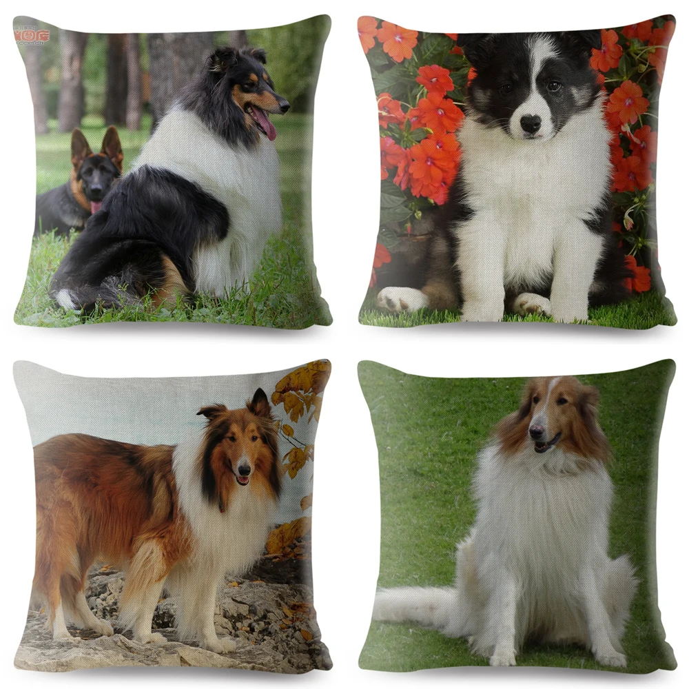Фото Милый чехол для подушки SheltiePet Border Collie, 45*45 см №4