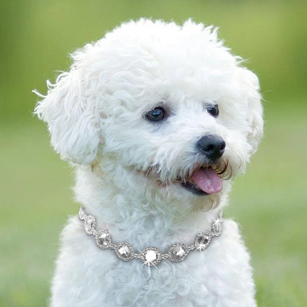 

Rhinestone Bling Dog Necklace Collar Jewelry Pearl Diamond Pet Puppy Cat Necklaces For Small Dogs Mascotas Dog Accessories