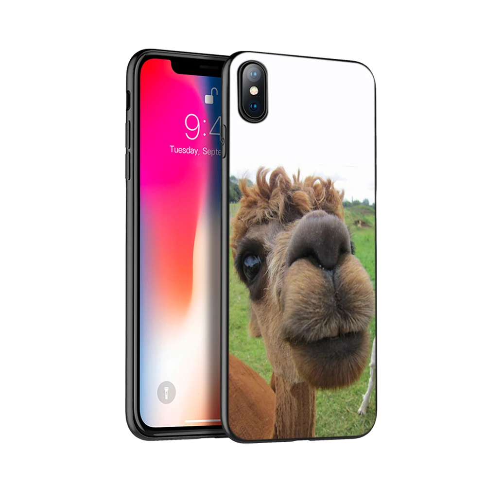 Черный чехол из термополиуретана для iphone 5 6 6s 7 8 plus x 10 XR XS 11 pro MAX alpacas