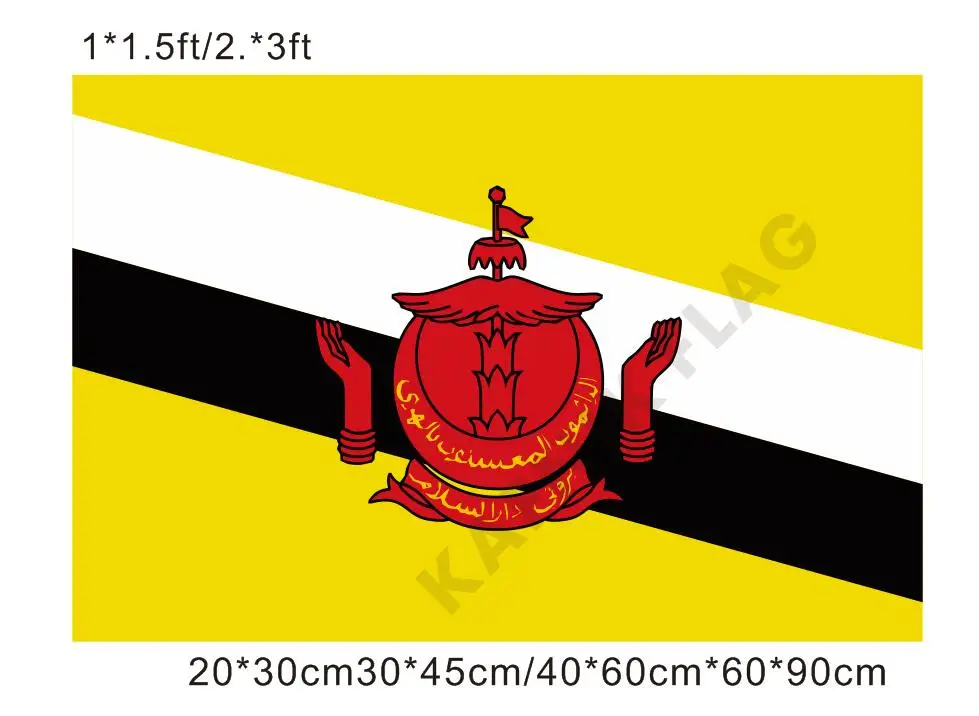 KAFNIK бесплатная доставка 20*30 см/30*45 см/40*60 см/60*90 см маленькие флаги флаг Бруней
