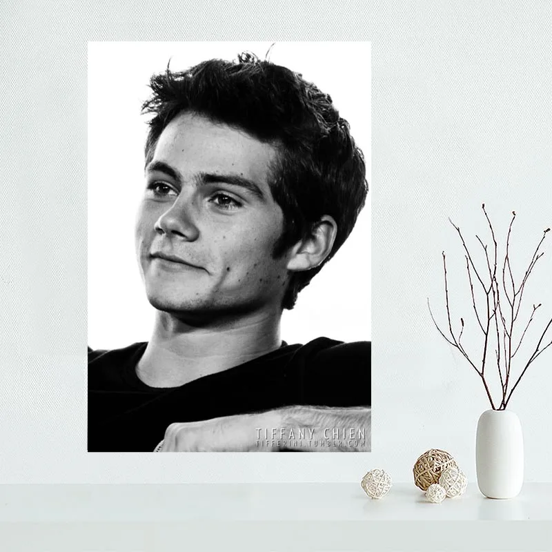 Красивый пользовательский парусиновый плакат Dylan Oɻrien с принтом
