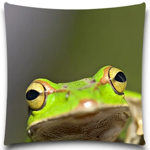 Квадратная наволочка для дивана Spider/Frog декоративная из хлопка/полиэстера | Дом и