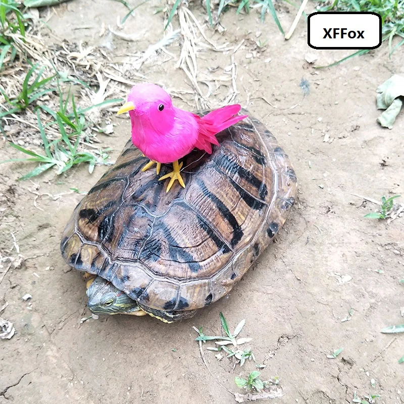 Маленькая модель горячего розового птицы из пенопласта и меха реальная жизнь
