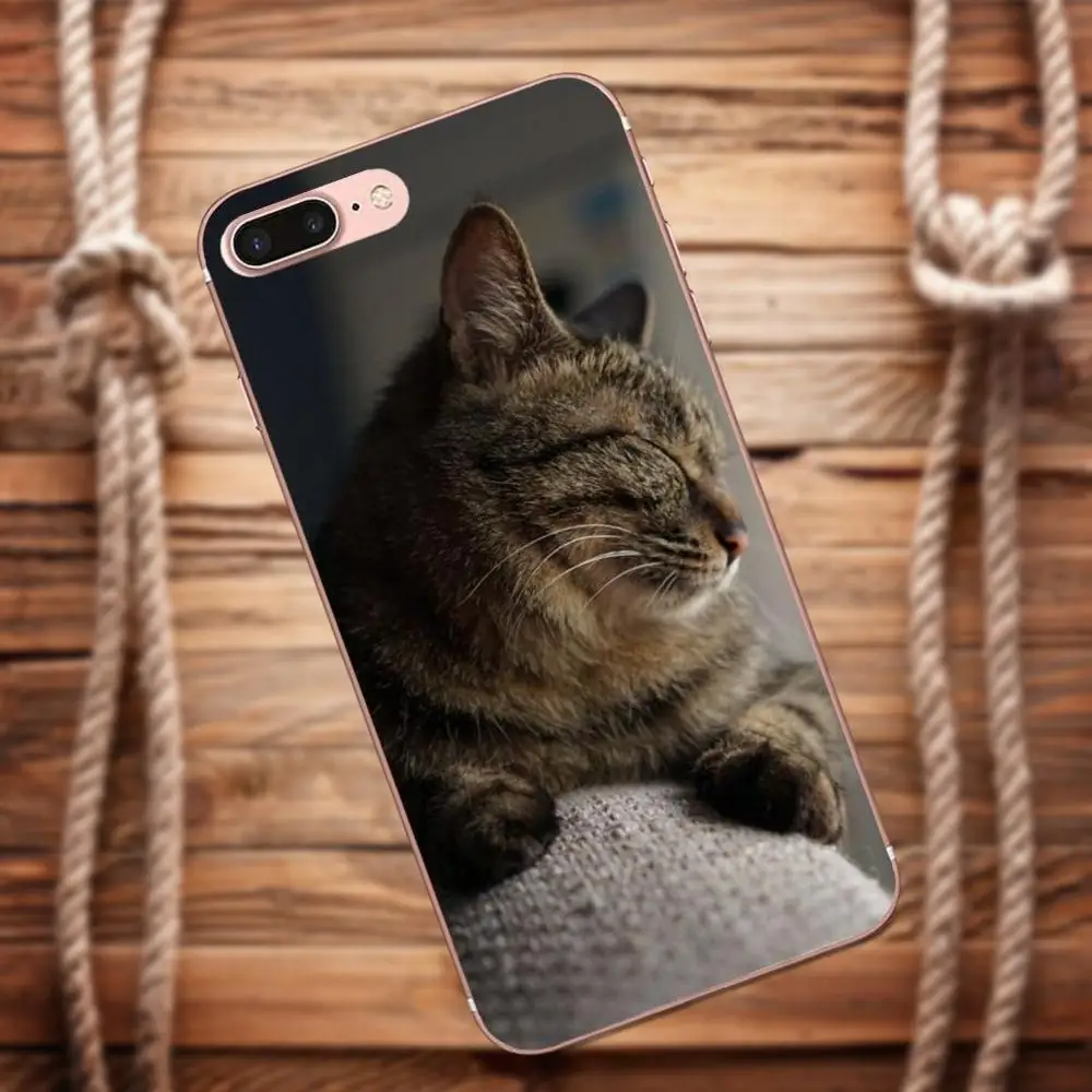 Vvcqod сонный котенка для Apple IPhone X 4 4S 5 5C 5S SE 6 S 7 8 Plus Moto G G2 G3 мягкий из термопластика
