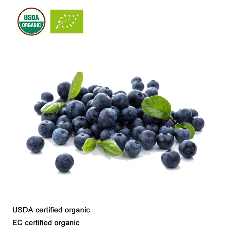 USDA и EC сертифицированный органический порошок сока черники