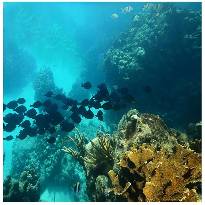 

Beibehang большой пользовательский настил высокое разрешение Красная Галька Водонепроницаемая Ванная комната гостиная ПВХ обои декоративный фон