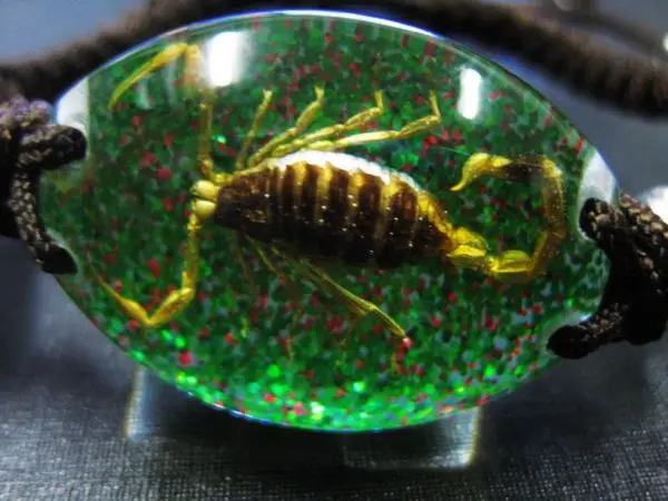 5 шт. настоящие образцы золотого скорпиона зеленый браслет красивые смешанные