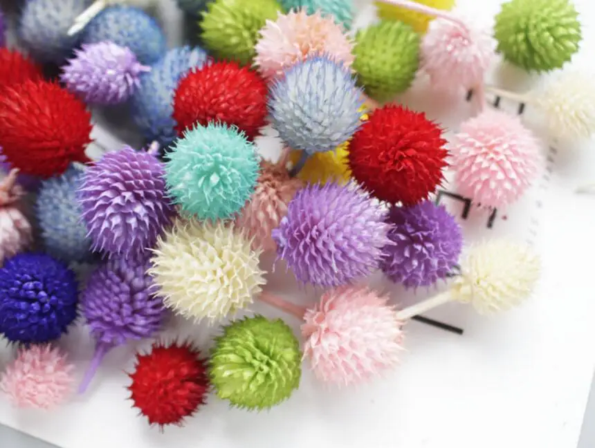100 шт сушеная Сохраненная цветок Gomphrena Globosa L для свадебной вечеринки украшения