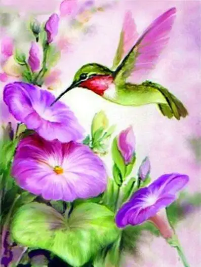 HUMMINGBIRD круглая/квадратная дрель 3D Алмазная живопись | Дом и сад