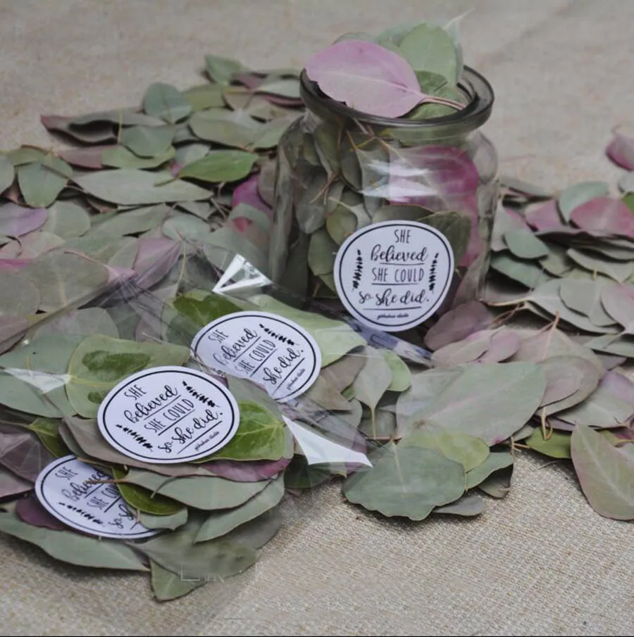

100pcs Natural Dried Preserved Eucalyptus Cinerea Leaves For Shopwindow Photographed Background Making Decoration Accessories