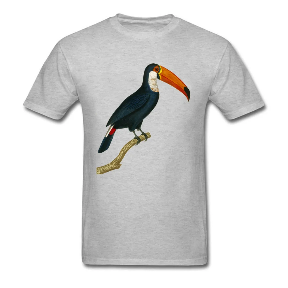 Toucan Painting 2018 Ретро белая футболка для мужчин повседневные хлопковые топы с