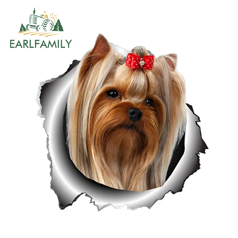 

EARLFAMILY, 13 см x 12,6 см, Виниловая наклейка для йоркширского терьера, рваная металлическая наклейка, наклейка на окно, бампер, домашняя собака, Стайлинг автомобиля