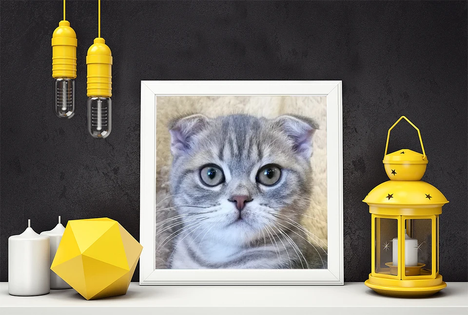 Алмазная мозаика, Полный алмаз, вышивка квадратными алмазами 3d diy картина из стразов вышивка крестиком diy Алмазная вышивка с котом