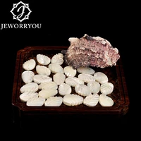 white freshwater natural beads carving left tridacna shell stone beads jewelry making necklace bracelet for friends and family