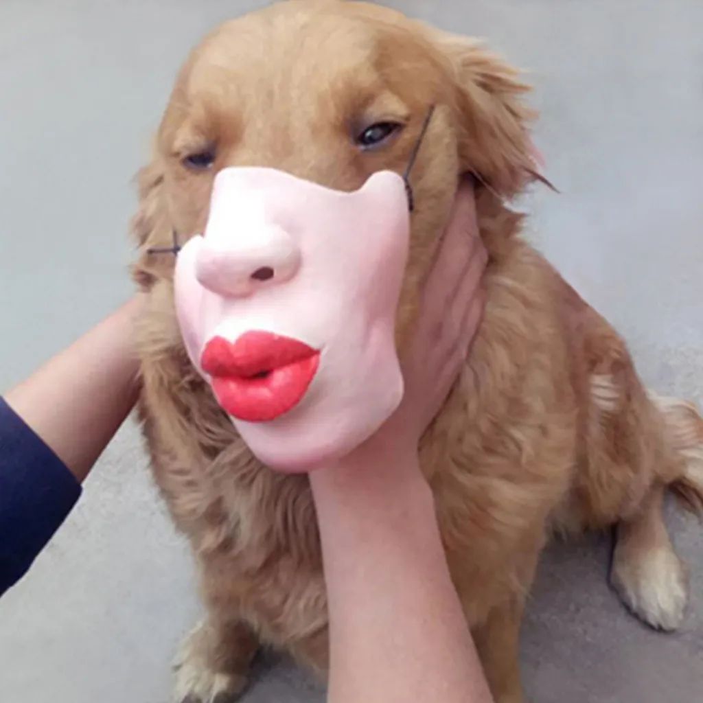 Забавная забавная маска с регулировкой намордника для питомца собаки новая