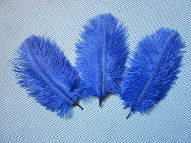 10 шт. белые страусиные перья 6 8 дюймов/15 20 см|feathers for decoration|white ostrich feathersdecorative feathers |