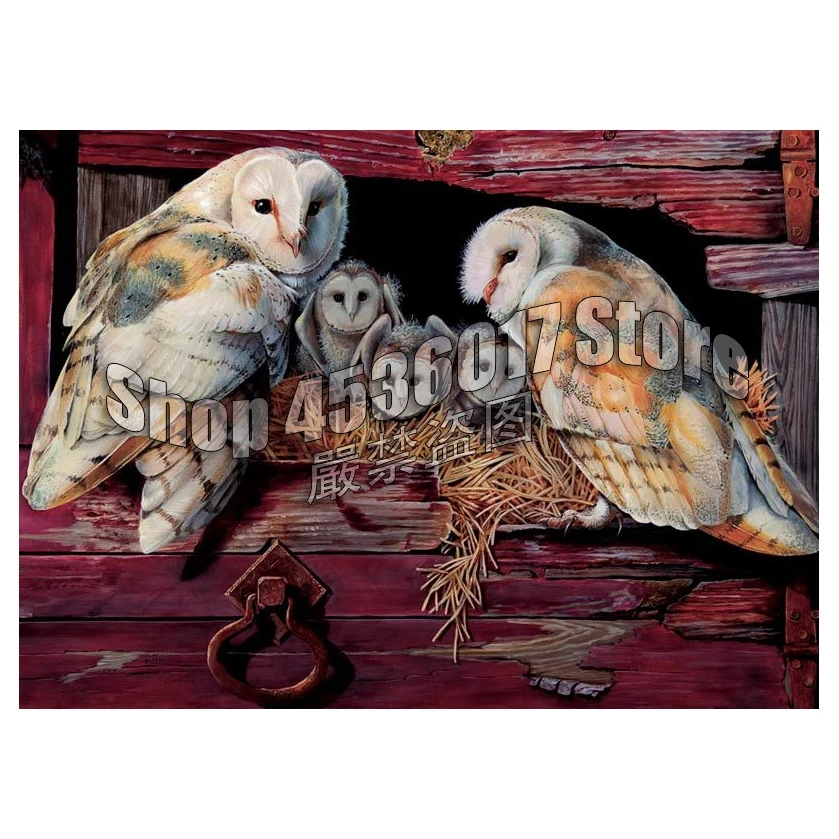 

Barn Owls Diy Diamond Painting Cross Stitch Mosaic Diamond Embroidery Birds Farm animals full canvas Rhinestone Paintings